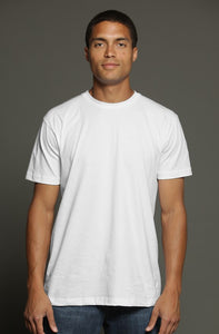 Tayrona White Tri-Blend T-Shirt