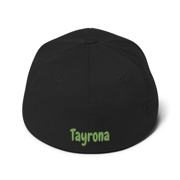 Tayrona Structured Twill Cap Flex Fit Kiwi Green Logo